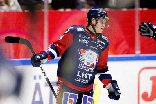 Linköpings Mattias Hävelid jublar