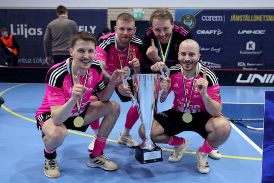 Faluns Lagkapten Emil Johansson, Rasmus Enström, Johan