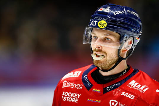 Linköpings Christoffer Ehn deppar