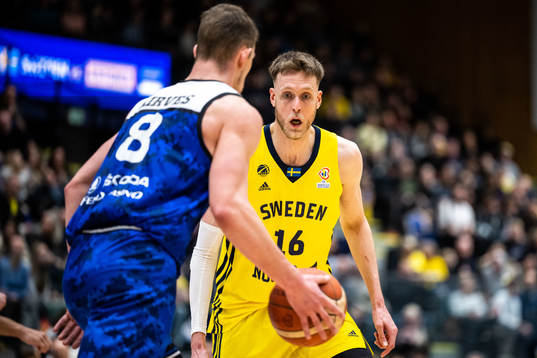 Mihkel Kirves of Estonia and Nicholas Spires of Sweden