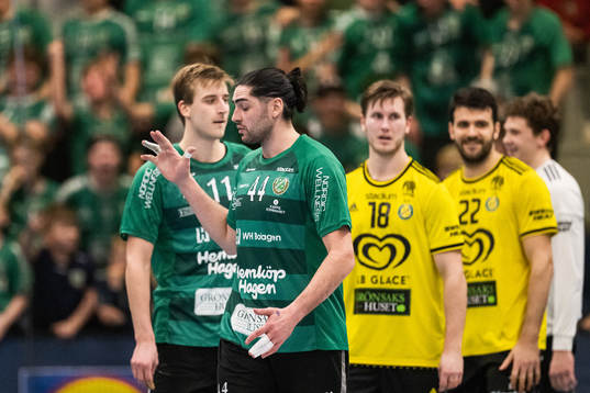 Önnereds Mishels Liaba deppar
