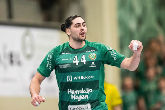 Önnereds Mishels Liaba jublar