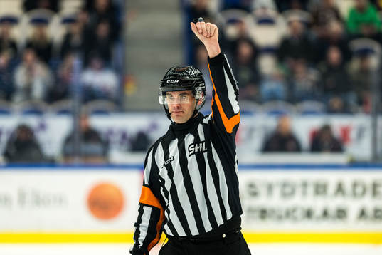 Domare Richard Magnusson