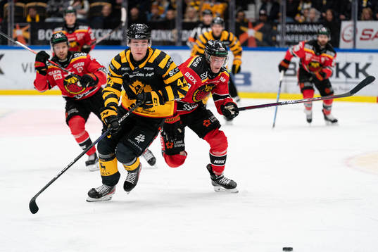 Skellefteås Elias Salomonsson och Luleås Julius Honka