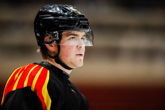 Brynäs Alexander Ljungkrantz