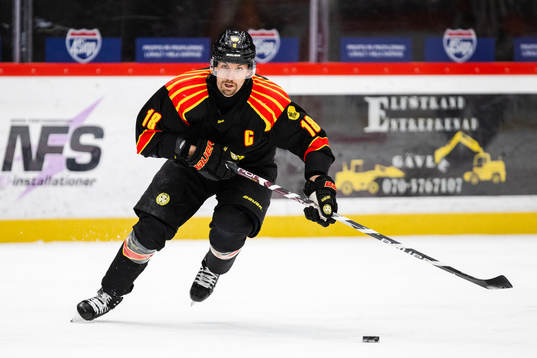 Brynäs Anton Rödin