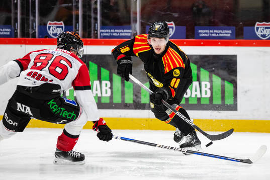 Brynäs Dmytro Timashov