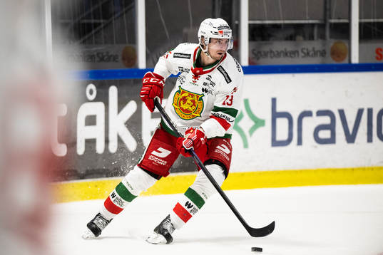 Moras Fabian Ilestedt