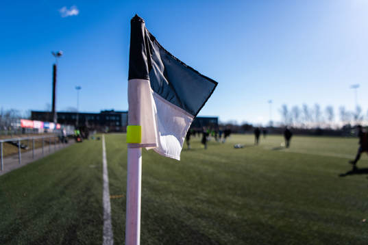 Svartvit hörnflagga