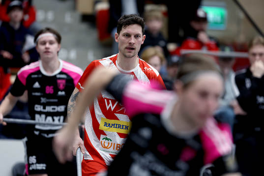 Pixbos Anton Fylke