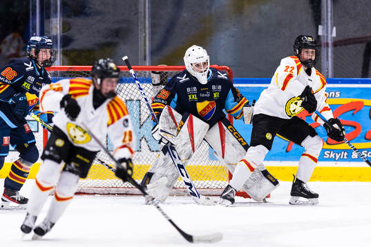 Djurgårdens målvakt Selma Luggin