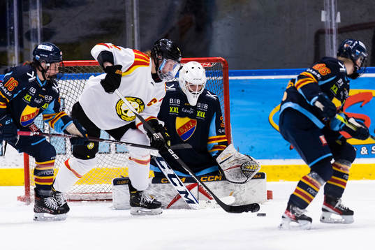 Djurgårdens målvakt Selma Luggin med Brynäs Rosa