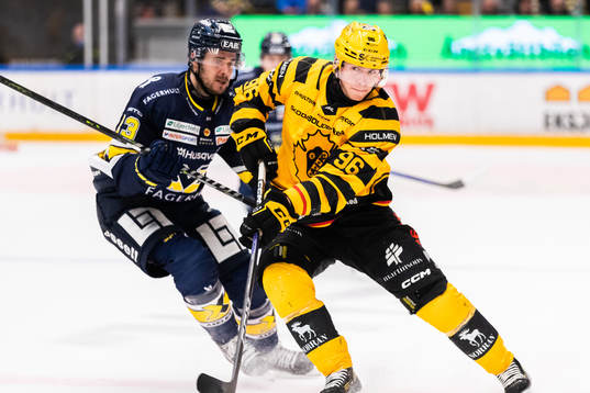 HV71s Nicholas Shore och Skellefteås Rickard Hugg