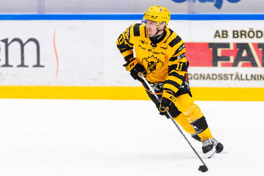 Skellefteås Max Lindholm