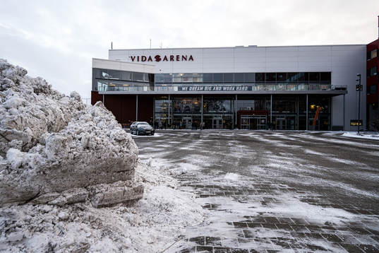 Vida arena