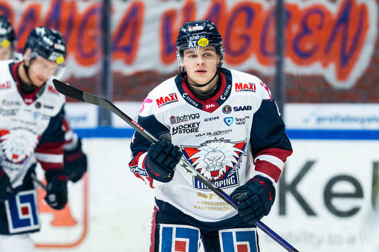 Linköpings Mattias Hävelid jublar
