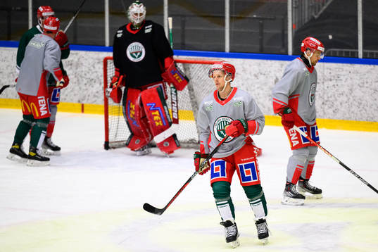 Max Friberg