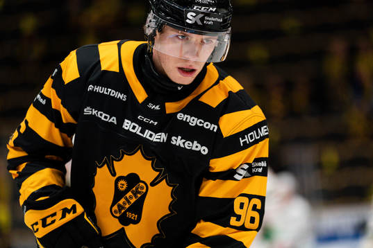 Skellefteå AIKs Rickard Hugg