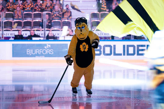 Skellefteås maskot Buddy