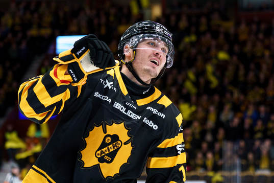 Bläddra bland fler bilder av Ishockey, SHL, Kvartsfinal 3, Skellefteå - Rögle