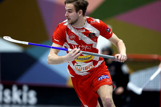 Pixbos Linus Nestorsson