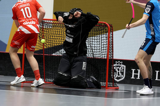 Pixbos målvakt Jon Hedlund