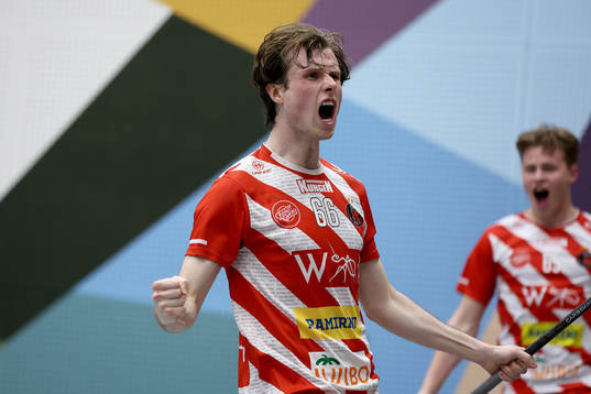 Pixbos Felix Lanver jublar