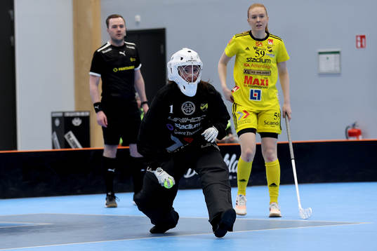 Endres målvakt Frida Görtz