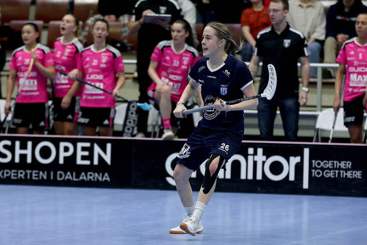 Täbys Moa Dynefalk