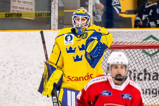 Goaltender Sara Grahn of Sweden celebrates