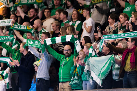 Hammarbys supportar