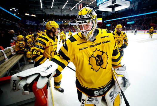 Skellefteås målvakt Linus Söderström deppar