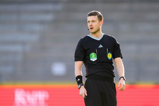 Domare Erik Mattsson