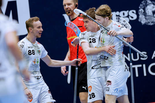 Nykvarns spelare jublar