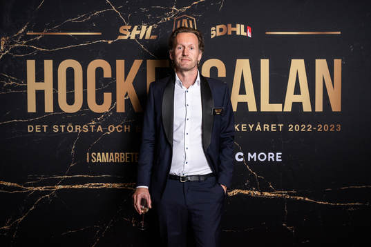 Gabriel Monidelle, Hockeyallsvenskans vd