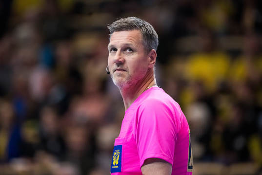 Domare Niclas Widell