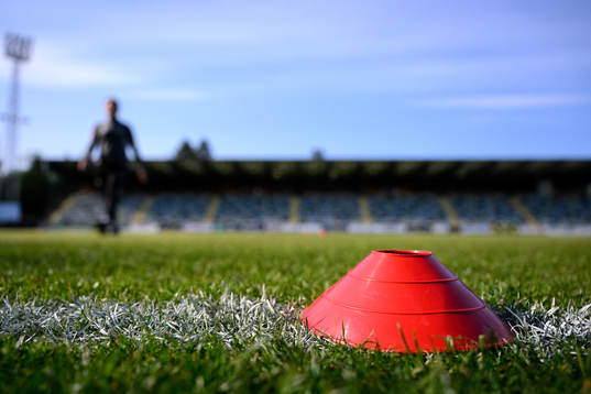 En kon på planen innan fotbollsmatchen i Superettan mellan