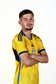 Armin Gigovic