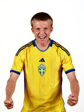 Tom Strannegård