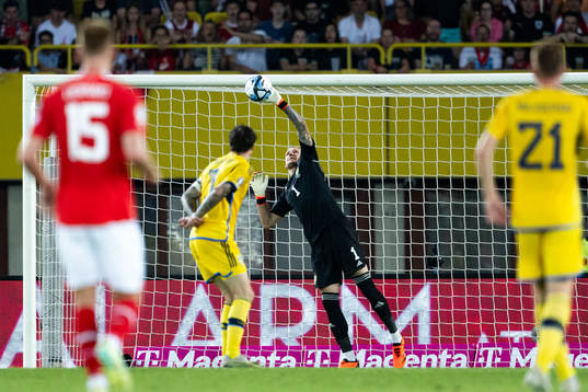 Goalkeeper Robin Olsen