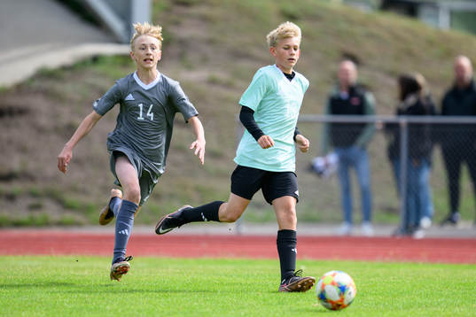 Alfred Vestermark och Hugo Holmberg