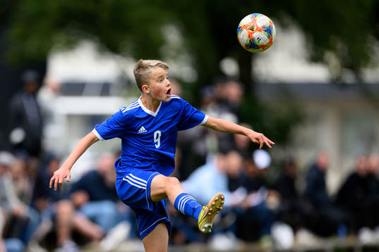 s riksläger för P15