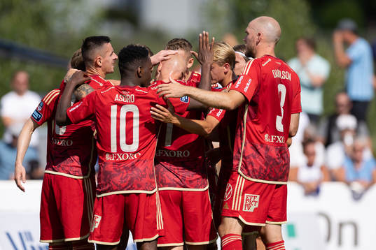 Djurgårdens jublar