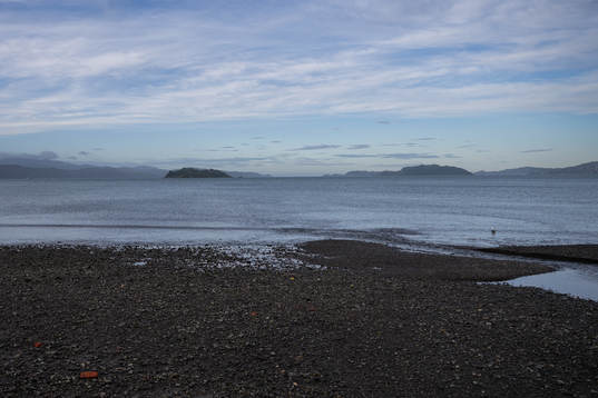 View from Petone Beach