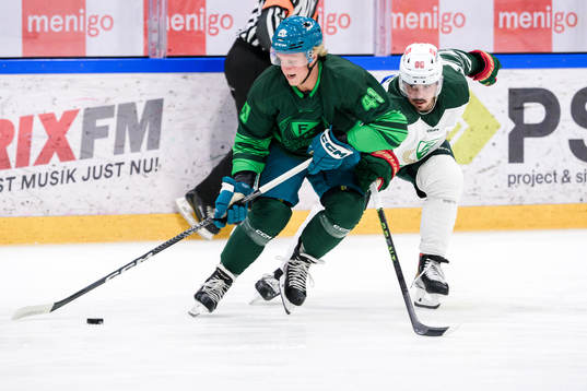 Fabian Zetterlund och Marcus Johansson