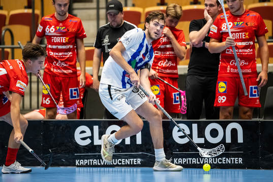 Helsingborgs Fredi Petersson