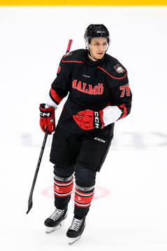 Malmö Redhawks Jakub Galvas