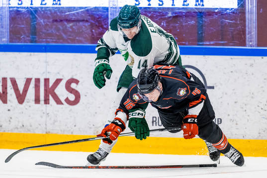 Färjestads Victor Ejdsell och Malmö Redhawks Matias Lassen