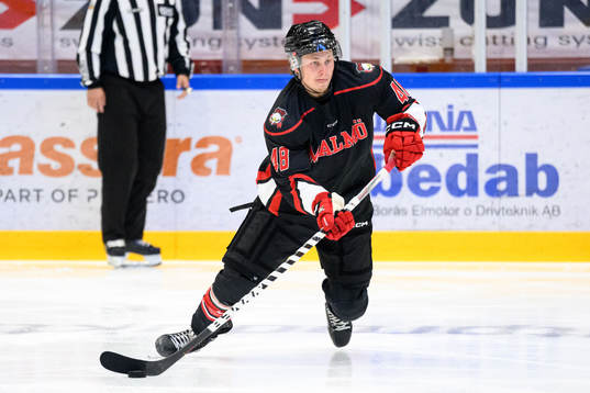 Malmö Redhawks Lauri Pajuniemi