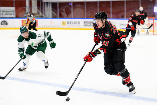 Malmö Redhawks Fredrik Händemark